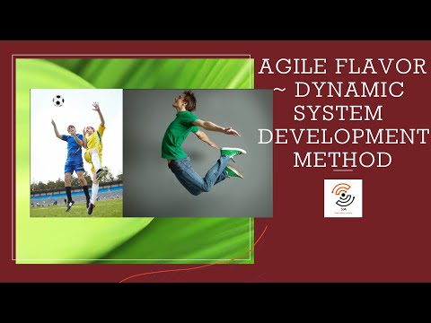 Agile Flavor ~Dynamic System Development Method