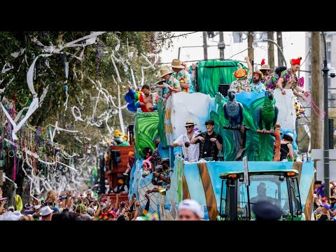 Livestream: Mardi Gras parades and Bourbon Street festivities in ...