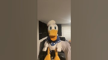 Donald Ducc sneezes