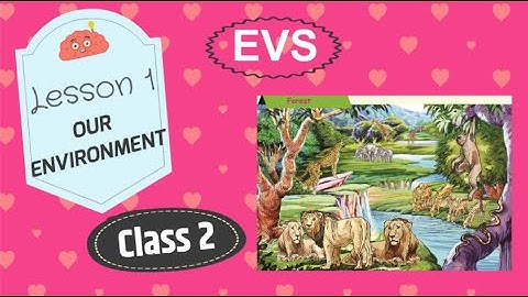 Tn Samacheer class 2 Term 1 Evs Our Environment Lesson(pg 75-78)-Evs Exercise,2nd standard