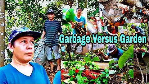 Garbage to Garden A Highly Recommended Video