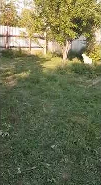 youtube.com