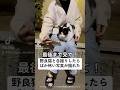 野良猫と自撮りしたらばか怖い写真撮れた#shorts
