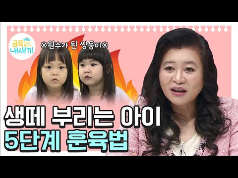 심하게 떼쓰고 싸우는 쌍둥이 아이 어떻게 다뤄야 할까요? [오은영쌤 육아지침서]