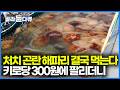 작년대비 360배로 폭증한 처치 곤란 해파리. 한국이 어떻게 해결하기 시작했나 봤더니|극한직업|#골라듄다큐