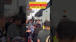 москва-бухара автобус #avtobusmoskvatashkent москва-ташкент автобус санкт-петербург Ташкент автобус