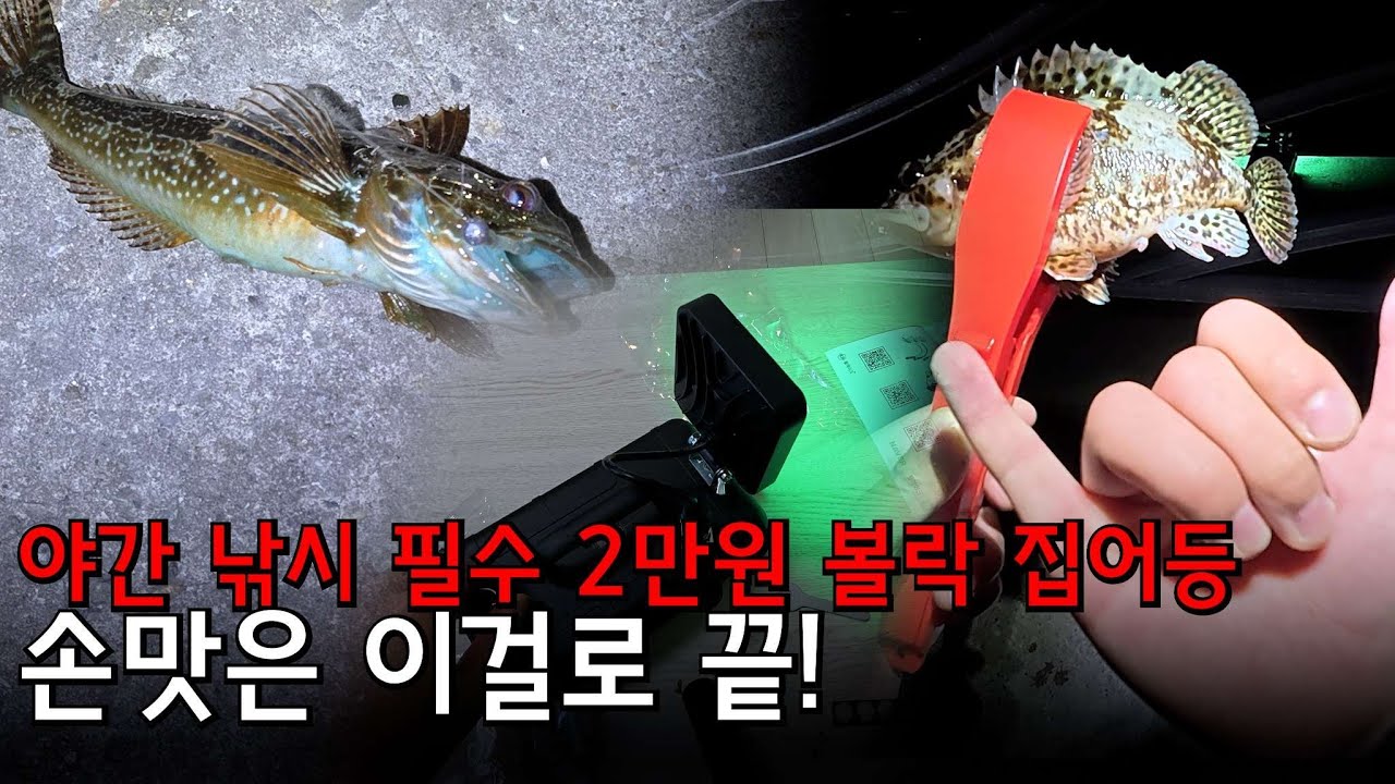 [🔥초보 입문 필수] 2만원짜리 볼락 가성비 집어등은 초보도 '손맛'을 보게 만든다.
