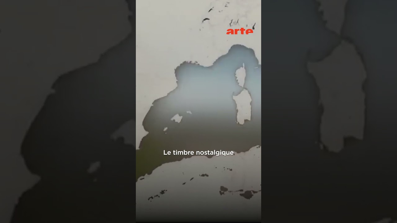 Saliha : La voix qui a réuni la Tunisie 🇹🇳 🎤
