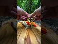 Cooking Beef Steak Between Pita Bread In Nature 🥠🪵рџ рџђї Cookingasmr Outdoorcooking Recipe Leon Cooking Beef Steak Between Pita Bread In Nature 🥠🪵рџ рџђї Cookingasmr Outdoorcooking Recipe Leon