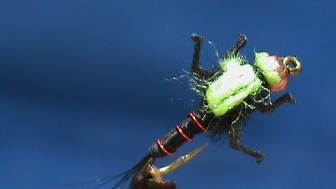 Beginner Fly Tying a Black and Chartreuse Lively Legz Nymph with Jim Misiura