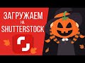 Загружаем вектор на SHUTTERSTOCK. Для начинающих