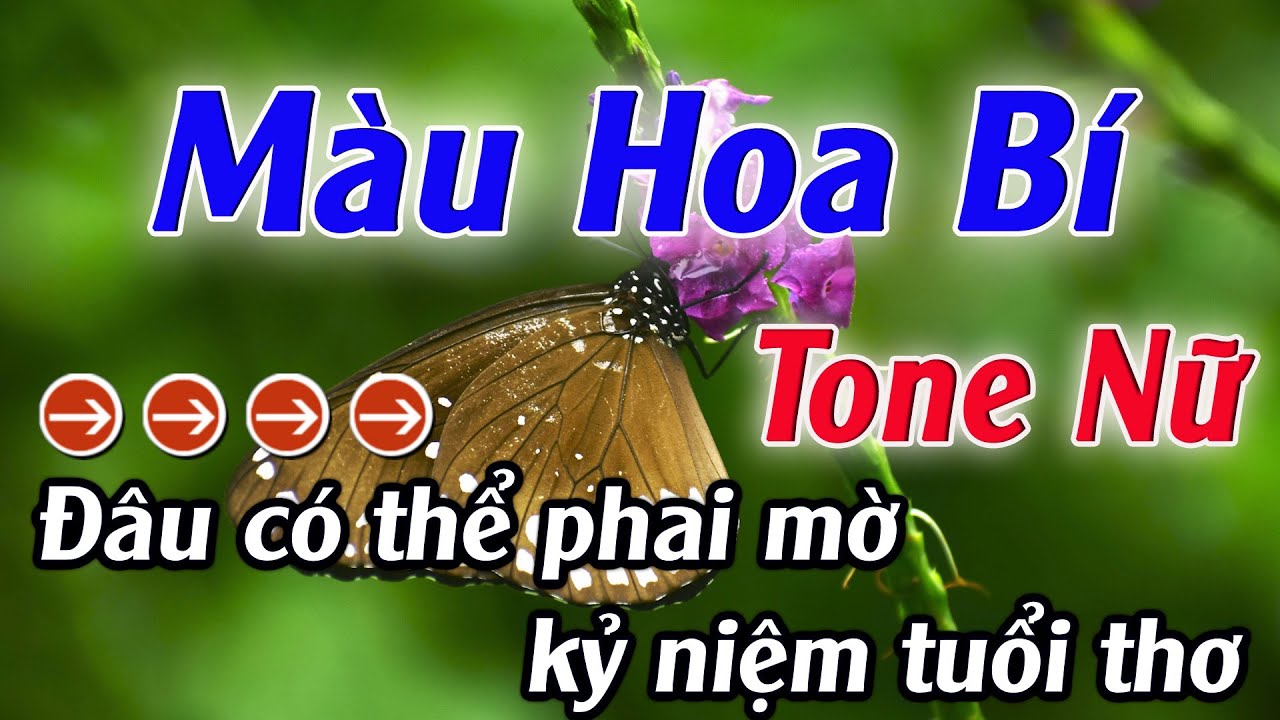 Karaoke Màu Hoa Bí Karaoke Tone Nữ Beat Hay Nhất 2025 Karaoke Mê Nhạc Sống