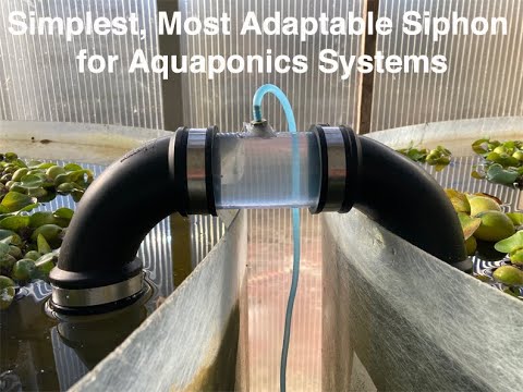 Simplest, Most Adaptable Siphon for Aquaponics Systems 