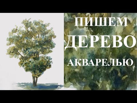 Видео: Уроки рисования. Как рисовать дерево. Пишем дерево акварелью - легко и просто!