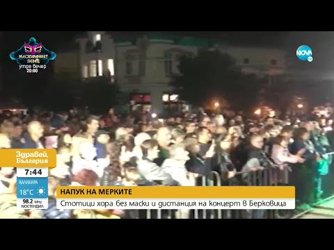 Видео: 17 причини кучетата да правят по-добри шаферки от хората