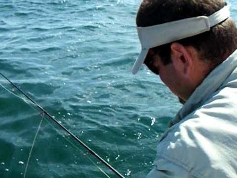 Montauk Blue Fish Fly Fishing with www.AlphaFishin...