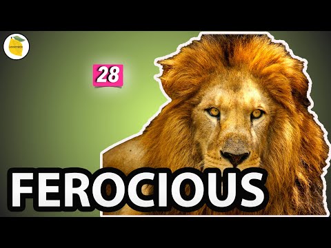 Ferocious Meaning | Synonym | Antonym | Examples | Daily vocabulary for competitive exams | #28