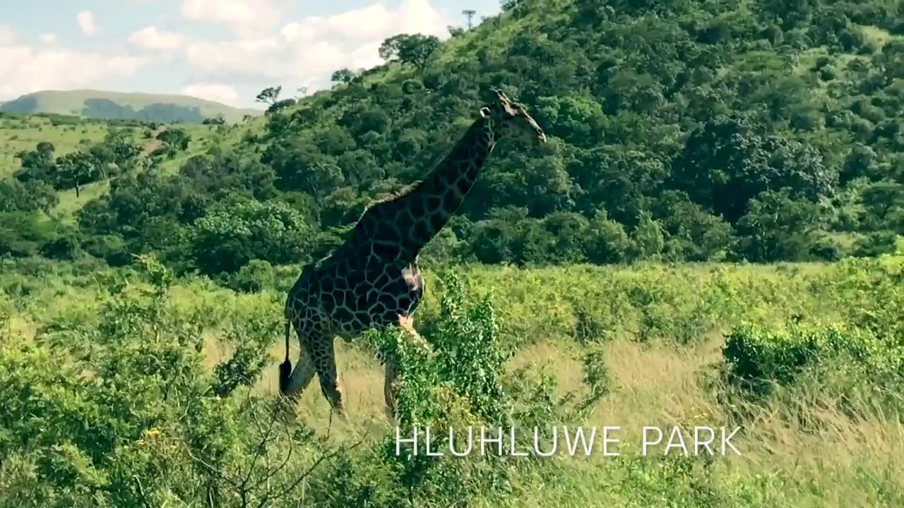 Tieweng เที่ยวเอง Durban, South Africa YouTube