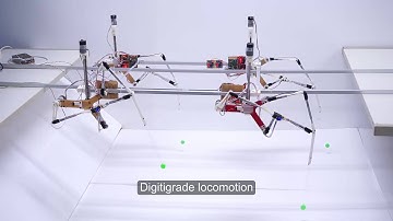 Reconfigurable Klann platform - Testing digitigrade trajectory