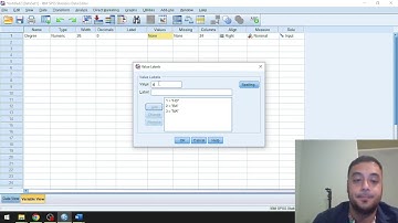 Assigning Labels to Numerical Values in SPSS