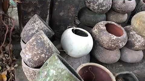 Chậu gốm atlantic (atlantis) dáng lạ mắt, độc đáo