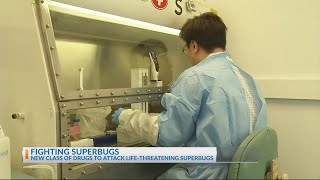 Fighting superbugs