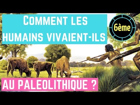 Vidéo: Comment les humains paléolithiques mangeaient-ils ?