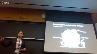 K.L. Feilich's PhD Defense Seminar