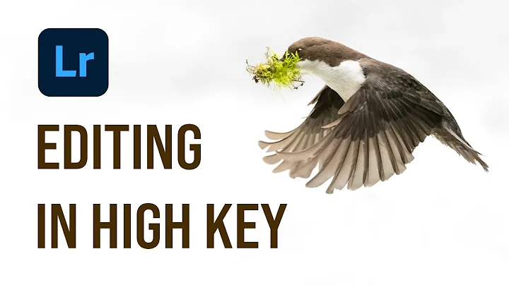 High Key Wildlife Photography Edit using Adobe Lightroom