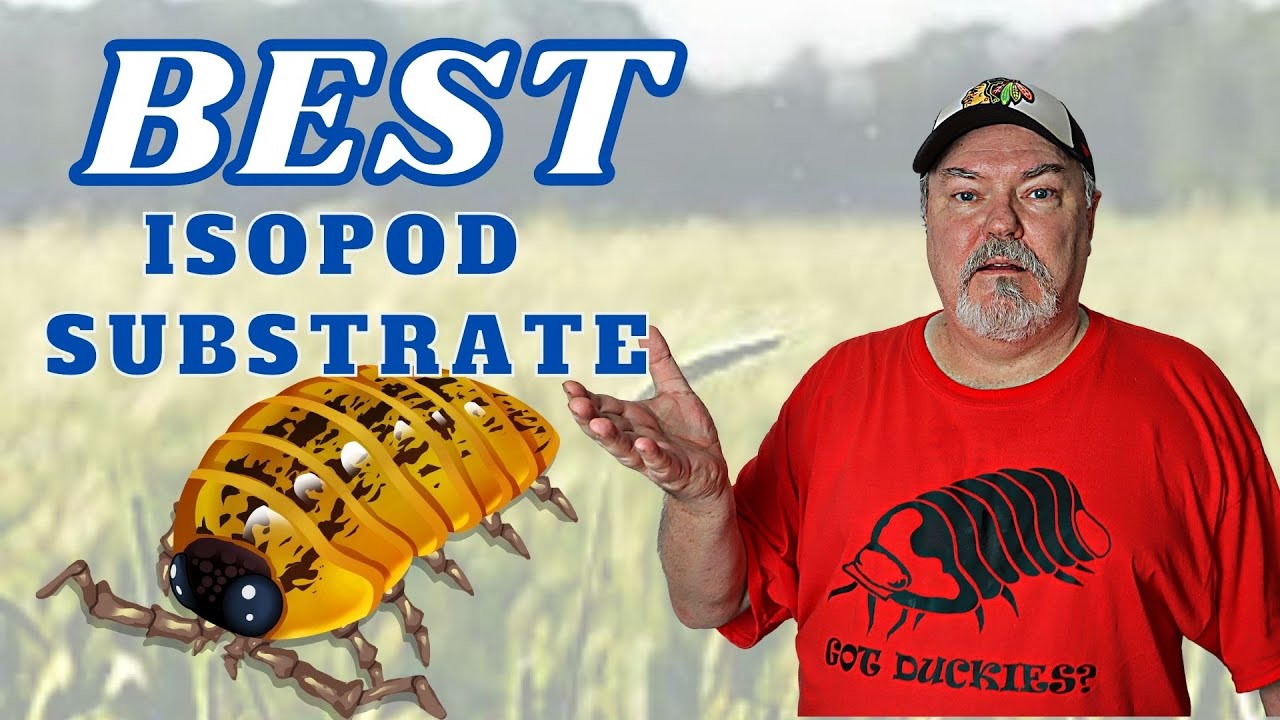 BEST Isopod Substrate | Featuring Shawn Kramer of US Invertebrate LLC