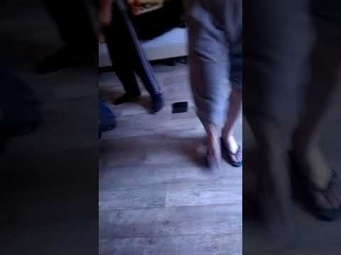 Dani printul banatului nou 2018