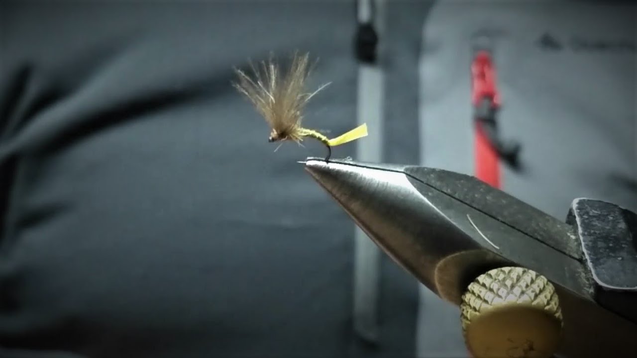 Efemera cuatro tres uno