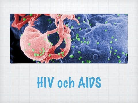 Videó: Az Intragenikus HIV-1 DNS-metilezés Alulbecsült Hatása A Vírus Transzkripciójára Fertőzött Egyénekben