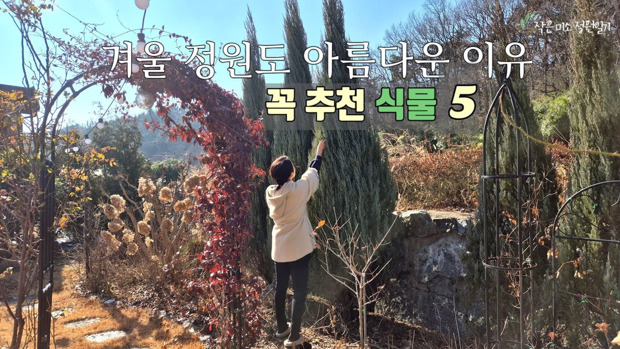 텅빈 겨울정원, 이식물들로 달라집니다.