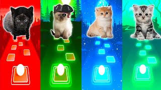 Cute Cats Bongocat | Wednesday Bloody Mary - Welerman - Dance monkey - Believer | Tiles hop edm rush by LING TM 1,994 views 1 year ago 8 minutes, 16 seconds