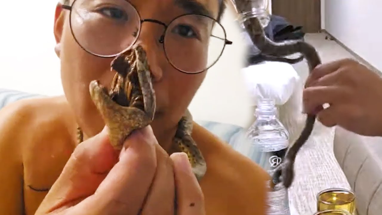 일본 오키나와 뱀술/명품쇼핑 (마지막)