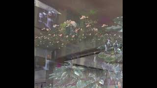 JU4N - Mist