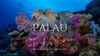 Palau -  Prinstine Diving 4k Footage!