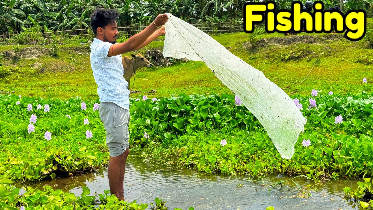 Assam River Fishing🥰for unique collection of fishes 🐟 | Fishing | Fishing life | Village Fishing