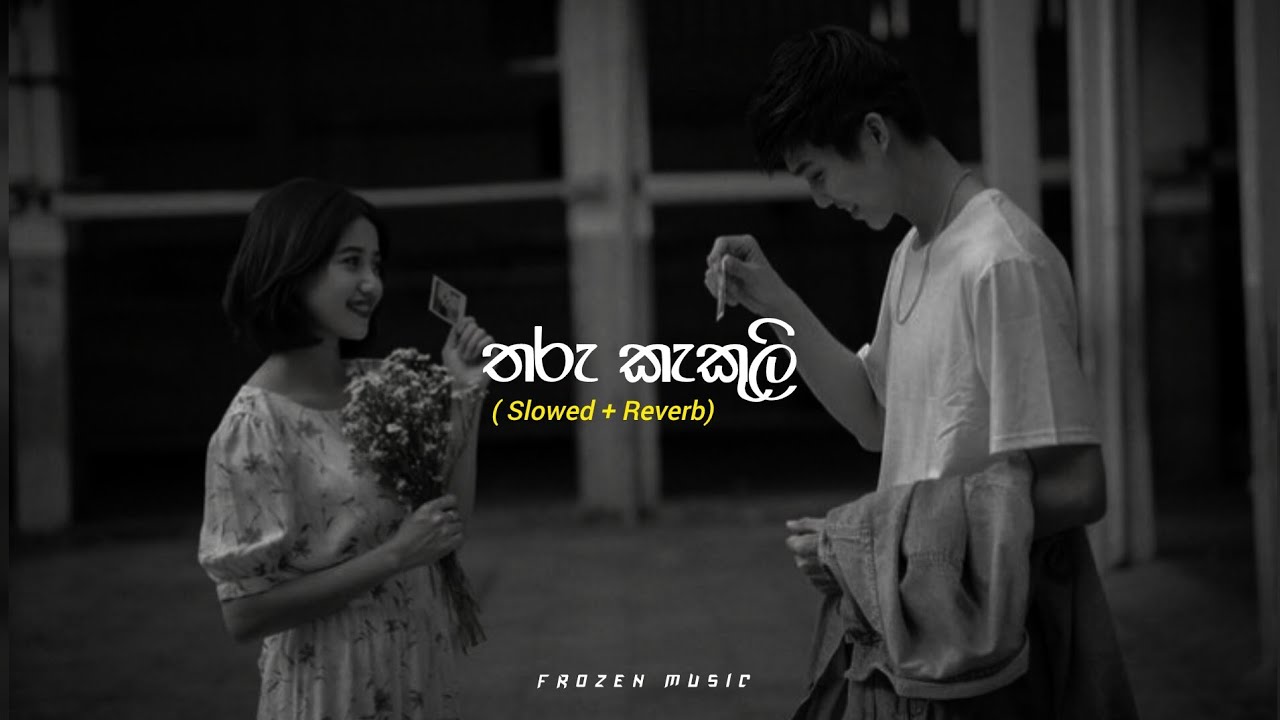 Tharu Kakuli ( තරු කැකුලි ) | Slowed + Reverb | Official Music Video 