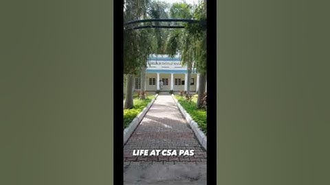 Life at CSS PAS #shortvideo #shorts #cssacademy #css #cssmcq #pas #bureaucracy #bureaucrats