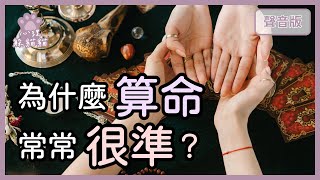 你就是這樣你不會改決定命運的「投射性認同」【心理躲貓貓#8】