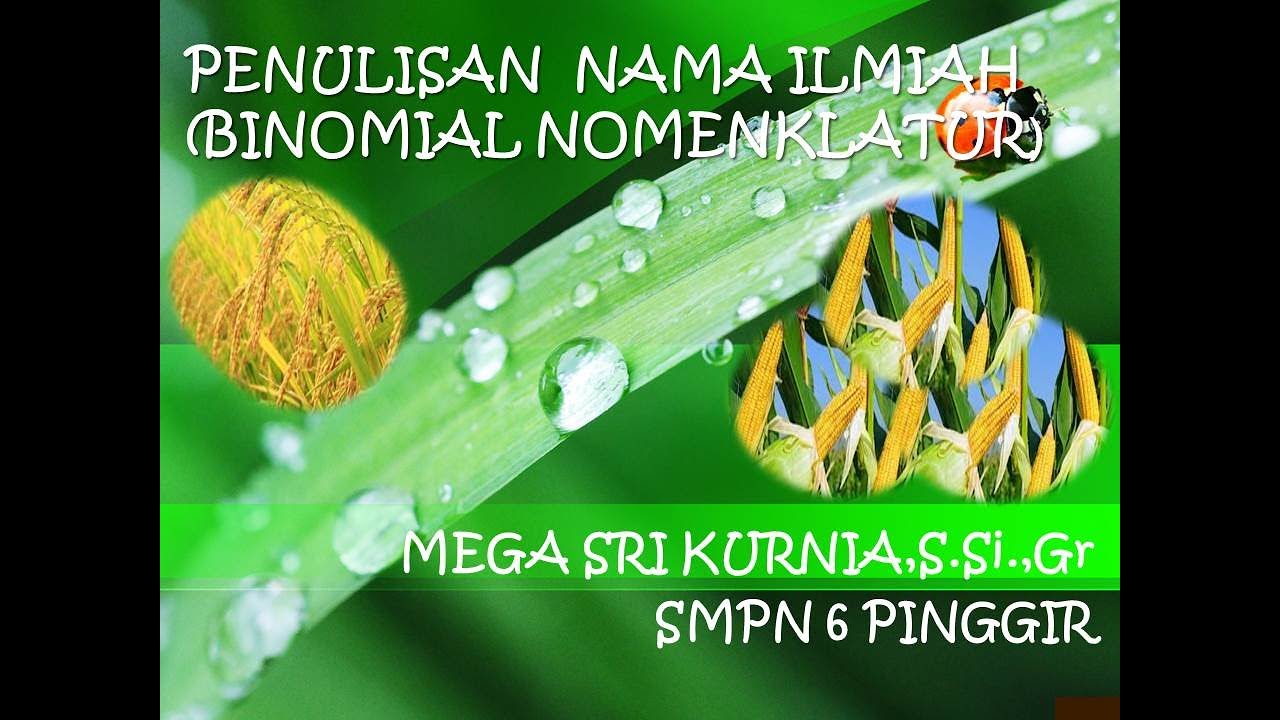 PENULISAN NAMA ILMIAH - YouTube