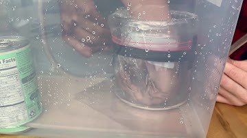 Capstone - Prototype Test 1