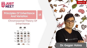 Chromosomal Theory Of Inheritance -2  | Principles of Inheritance & Variation L13 | Dr Gagan Vohra