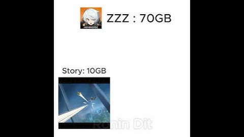 Zenless Zone Zero physics