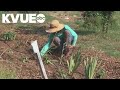 How to prevent injuries when gardening