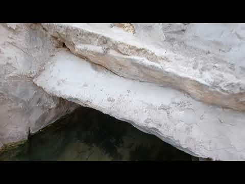 عين البثنة ينبع النخل