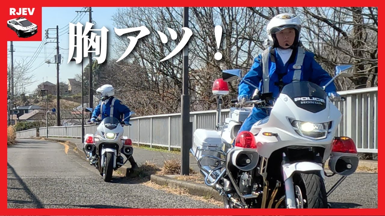 Amazon.co.jp: 最終値下撮影コスプレ、警察、白バイ、交通巡視員