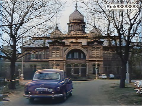 De Haagse Dierentuin tussen 1920 en 1942 in kleur! The Hague Zoo between 1920 and 1942 in color!